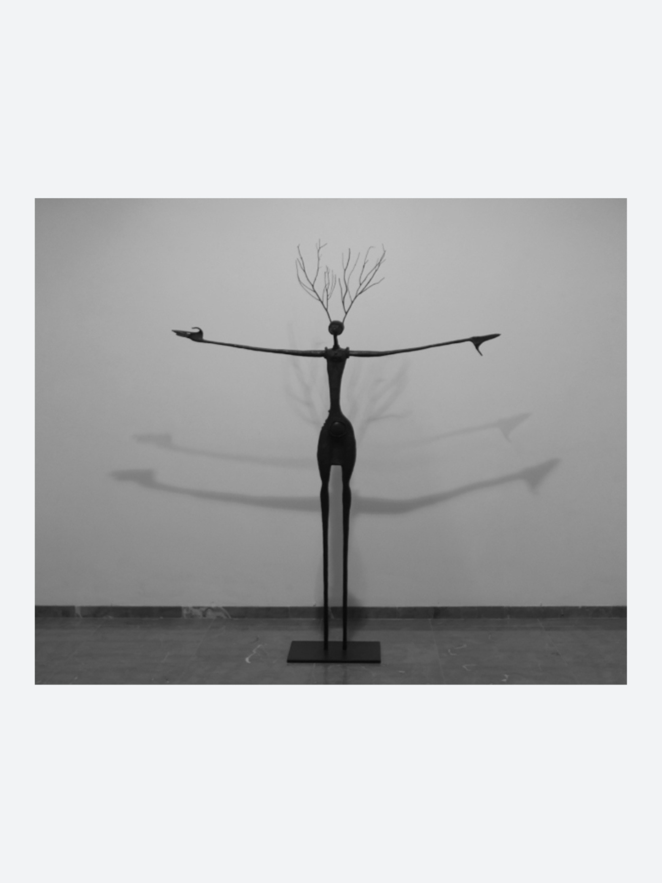 Open Arms / Fish & Trees series